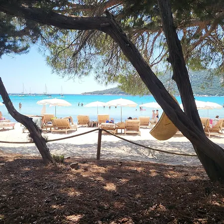 Lägenhet De Standing Avec Piscine Et Terrasse Porto-Vecchio (Corsica)