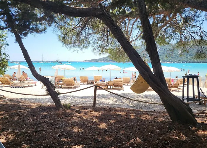 Lägenhet De Standing Avec Piscine Et Terrasse Porto-Vecchio (Corsica)